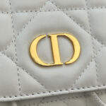 Christian Dior Medium Dior Caro Backpack